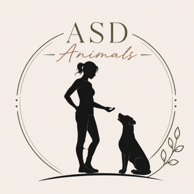 logo ASD